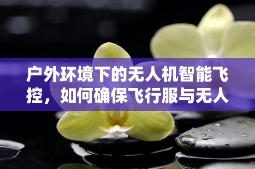 户外环境下的无人机智能飞控，如何确保飞行服与无人机系统的完美融合？