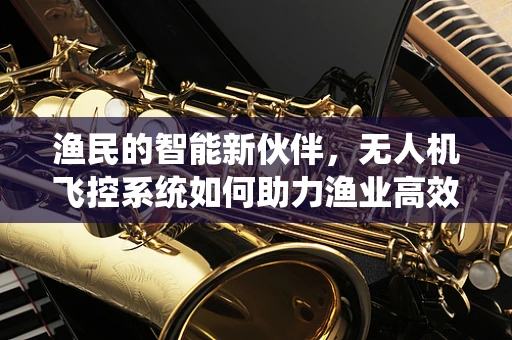 渔民的智能新伙伴，无人机飞控系统如何助力渔业高效化？