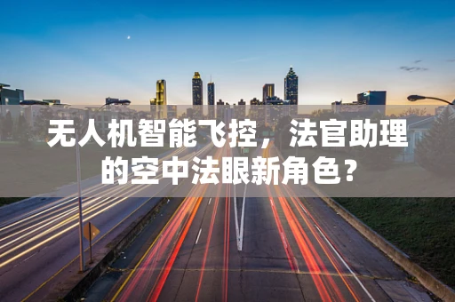 无人机智能飞控，法官助理的空中法眼新角色？