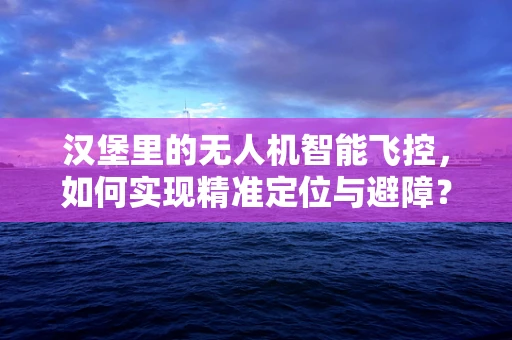 汉堡里的无人机智能飞控，如何实现精准定位与避障？