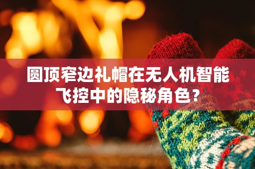 圆顶窄边礼帽在无人机智能飞控中的隐秘角色？