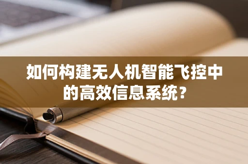 如何构建无人机智能飞控中的高效信息系统？