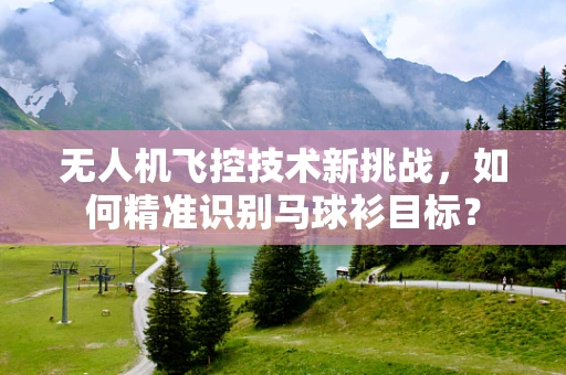 无人机飞控技术新挑战，如何精准识别马球衫目标？