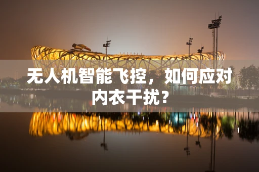 无人机智能飞控，如何应对内衣干扰？