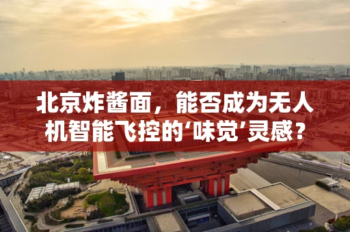 北京炸酱面，能否成为无人机智能飞控的‘味觉’灵感？
