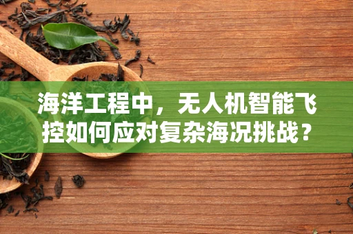 海洋工程中，无人机智能飞控如何应对复杂海况挑战？