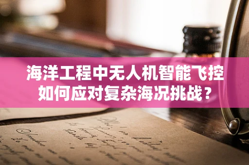 海洋工程中无人机智能飞控如何应对复杂海况挑战？