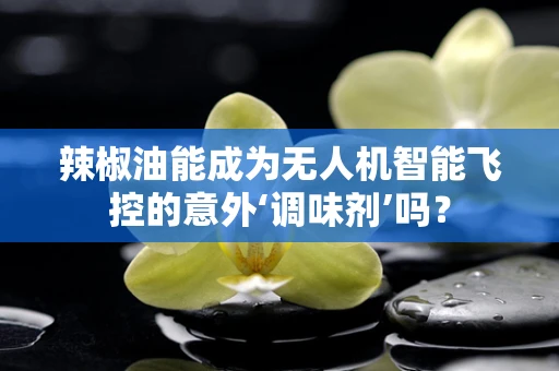 辣椒油能成为无人机智能飞控的意外‘调味剂’吗？
