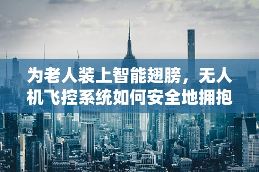 为老人装上智能翅膀，无人机飞控系统如何安全地拥抱银发族？