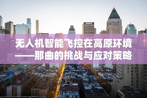 无人机智能飞控在高原环境——那曲的挑战与应对策略
