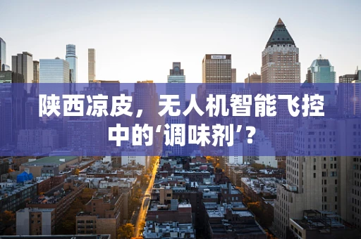 陕西凉皮，无人机智能飞控中的‘调味剂’？