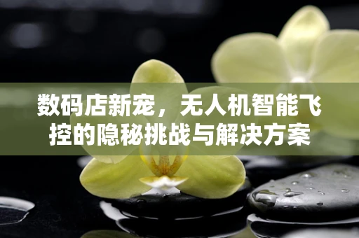 数码店新宠，无人机智能飞控的隐秘挑战与解决方案