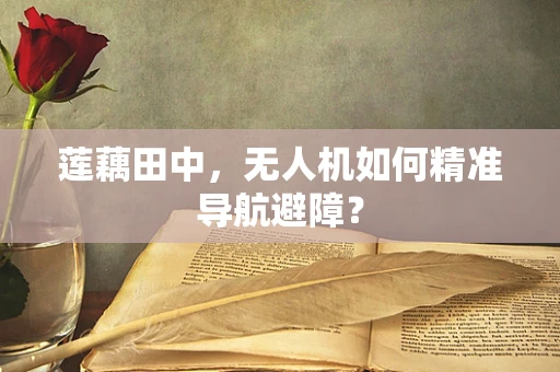 莲藕田中，无人机如何精准导航避障？