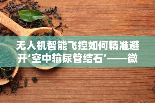 无人机智能飞控如何精准避开‘空中输尿管结石’——微小障碍物的挑战？