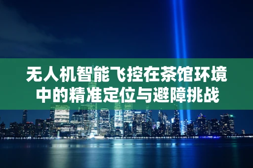 无人机智能飞控在茶馆环境中的精准定位与避障挑战