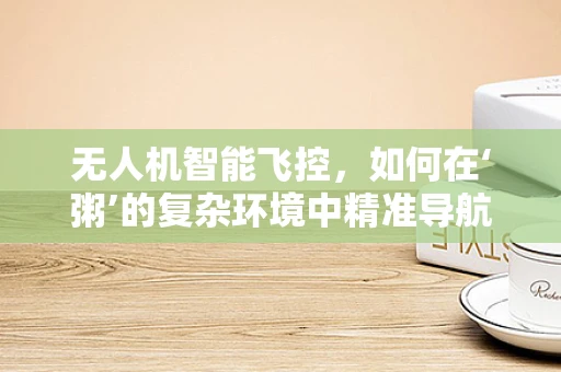无人机智能飞控，如何在‘粥’的复杂环境中精准导航？