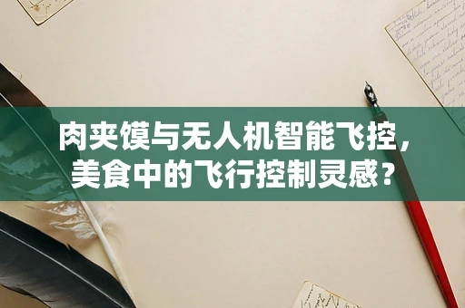 肉夹馍与无人机智能飞控，美食中的飞行控制灵感？