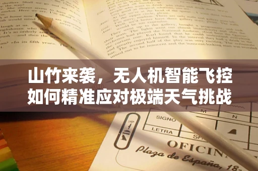 山竹来袭，无人机智能飞控如何精准应对极端天气挑战？
