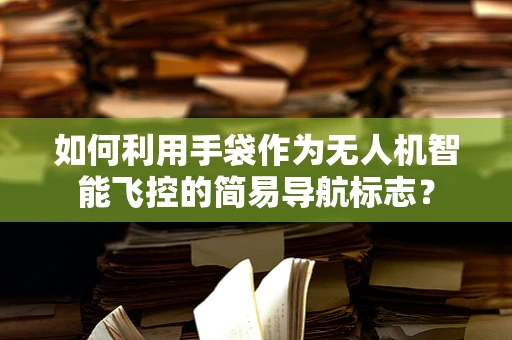 如何利用手袋作为无人机智能飞控的简易导航标志？