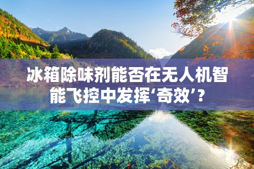 冰箱除味剂能否在无人机智能飞控中发挥‘奇效’？
