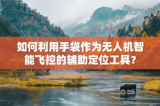 如何利用手袋作为无人机智能飞控的辅助定位工具？