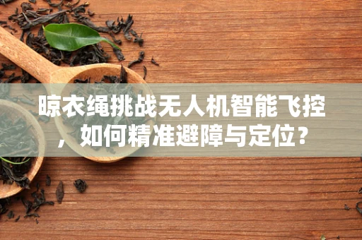晾衣绳挑战无人机智能飞控，如何精准避障与定位？