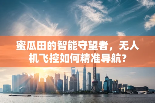 蜜瓜田的智能守望者，无人机飞控如何精准导航？