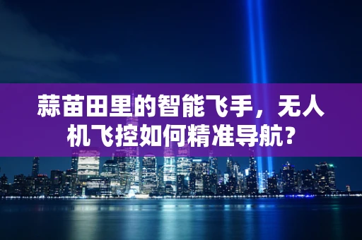 蒜苗田里的智能飞手，无人机飞控如何精准导航？