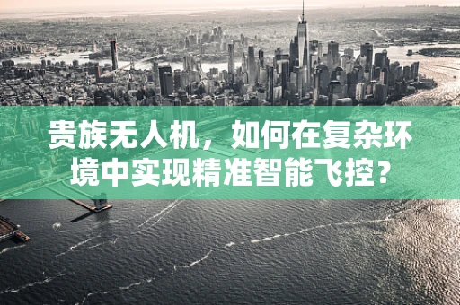 贵族无人机，如何在复杂环境中实现精准智能飞控？