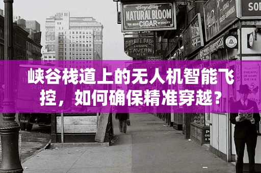 峡谷栈道上的无人机智能飞控，如何确保精准穿越？