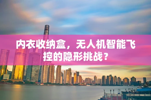内衣收纳盒，无人机智能飞控的隐形挑战？
