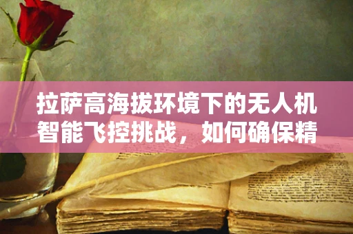 拉萨高海拔环境下的无人机智能飞控挑战，如何确保精准导航与安全飞行？