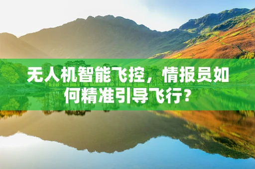 无人机智能飞控，情报员如何精准引导飞行？