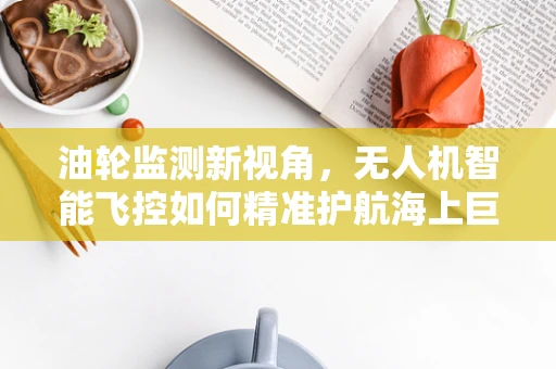油轮监测新视角，无人机智能飞控如何精准护航海上巨无霸？