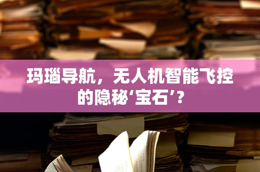 玛瑙导航，无人机智能飞控的隐秘‘宝石’？