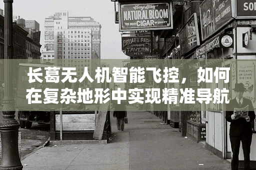 长葛无人机智能飞控，如何在复杂地形中实现精准导航？