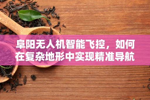 阜阳无人机智能飞控，如何在复杂地形中实现精准导航？