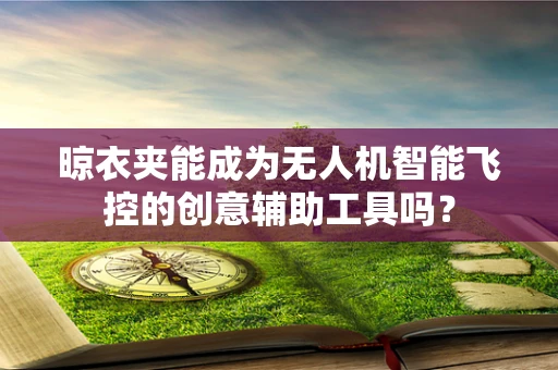 晾衣夹能成为无人机智能飞控的创意辅助工具吗？
