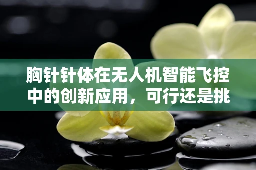 胸针针体在无人机智能飞控中的创新应用，可行还是挑战？