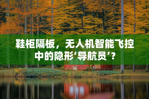 鞋柜隔板，无人机智能飞控中的隐形‘导航员’？