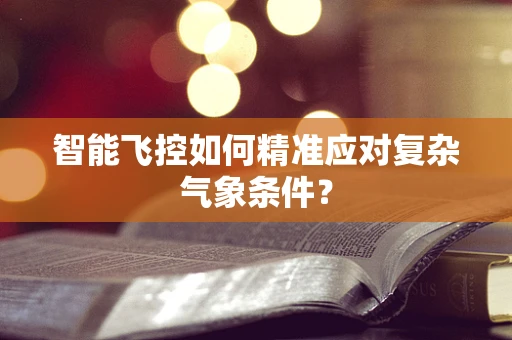 智能飞控如何精准应对复杂气象条件？
