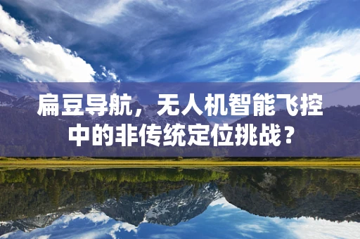 扁豆导航，无人机智能飞控中的非传统定位挑战？