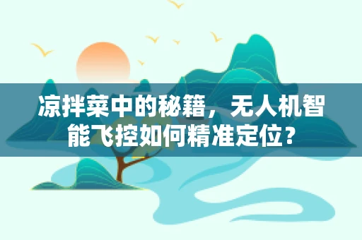 凉拌菜中的秘籍，无人机智能飞控如何精准定位？