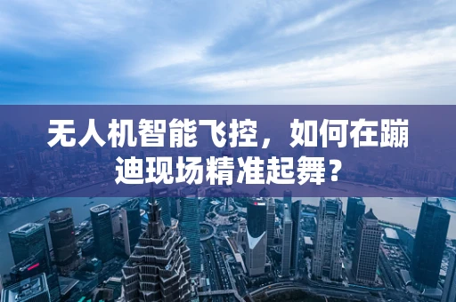 无人机智能飞控，如何在蹦迪现场精准起舞？