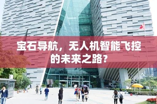 宝石导航，无人机智能飞控的未来之路？