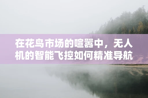 在花鸟市场的喧嚣中，无人机的智能飞控如何精准导航？