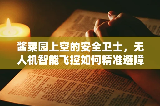酱菜园上空的安全卫士，无人机智能飞控如何精准避障？