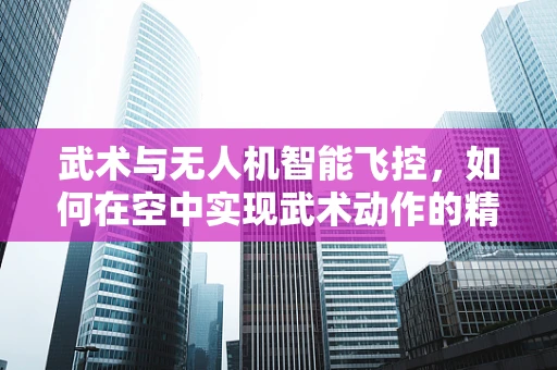 武术与无人机智能飞控，如何在空中实现武术动作的精准复现？
