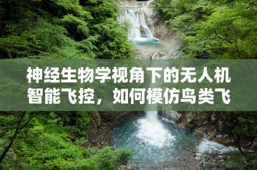 神经生物学视角下的无人机智能飞控，如何模仿鸟类飞行本能？