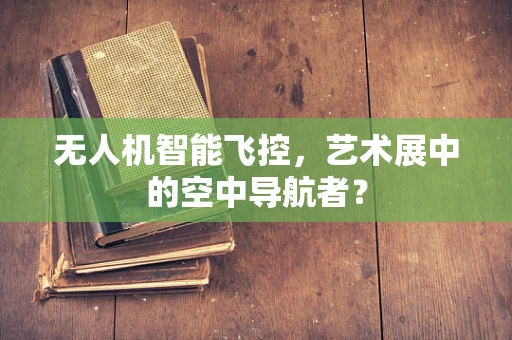 无人机智能飞控，艺术展中的空中导航者？
